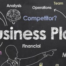 Smartelix - Business plan analysis