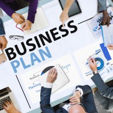 Smartelix-business-plan